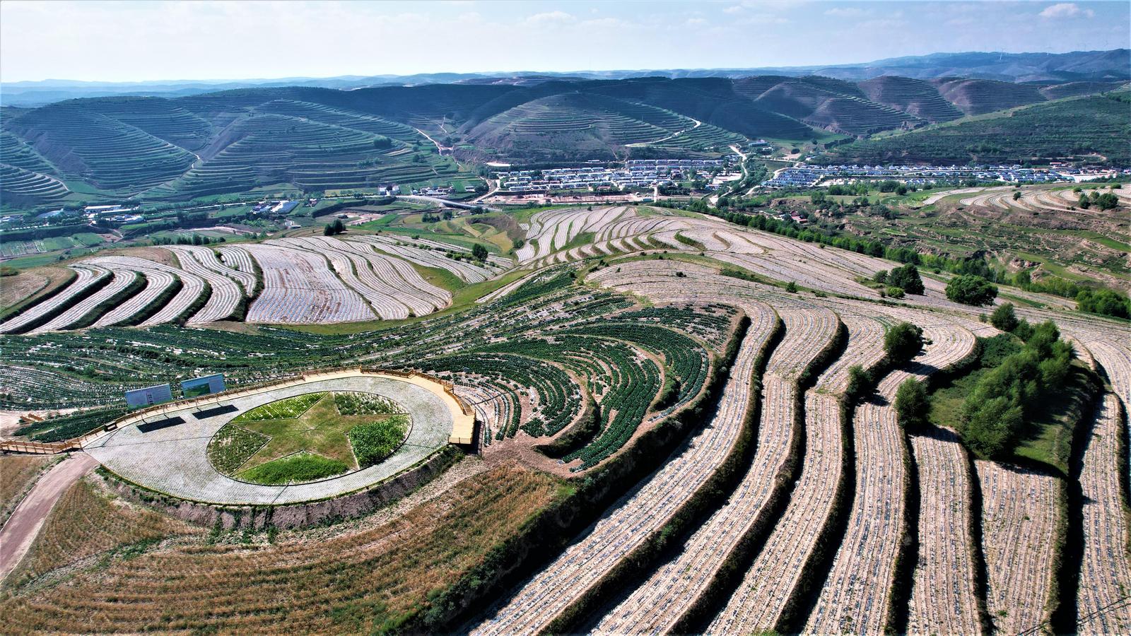 石嘴山市2023年提拔干部公示,宁夏石嘴山最近提拔干部公示