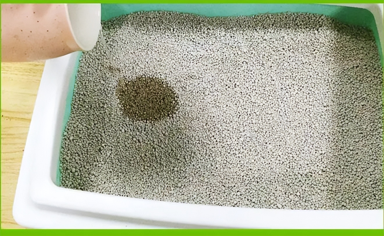 猫砂怎么选?一款好的猫砂,才不会被猫咪“拒收”,使用更持久