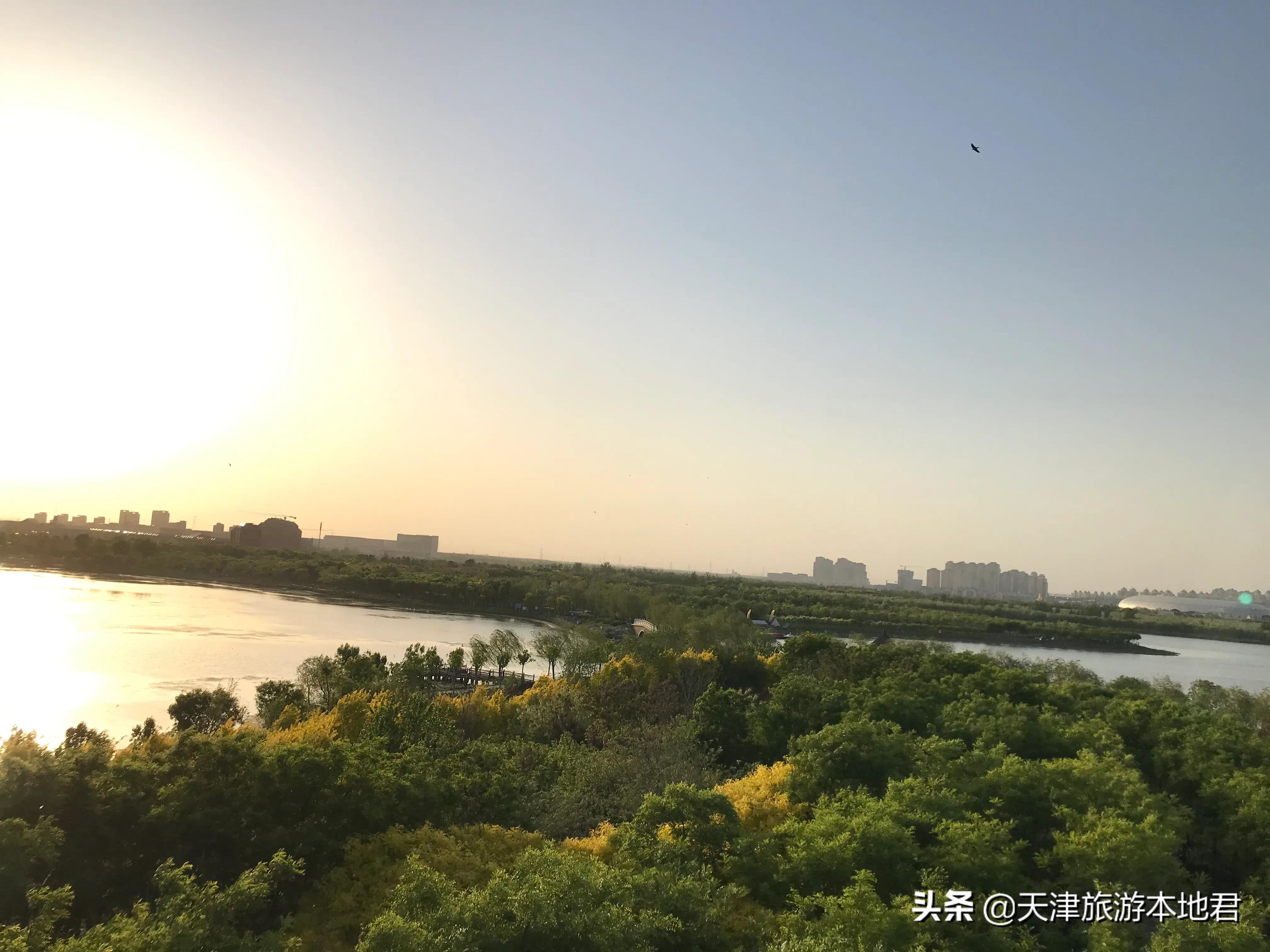 天津东丽湖公园荷花节什么时候开,东丽郊野公园好还是东丽湖公园好