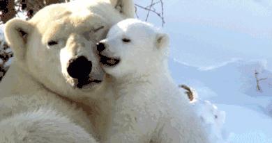 有性生殖与无性生殖后代,自由交配后代基因频率为什么不变