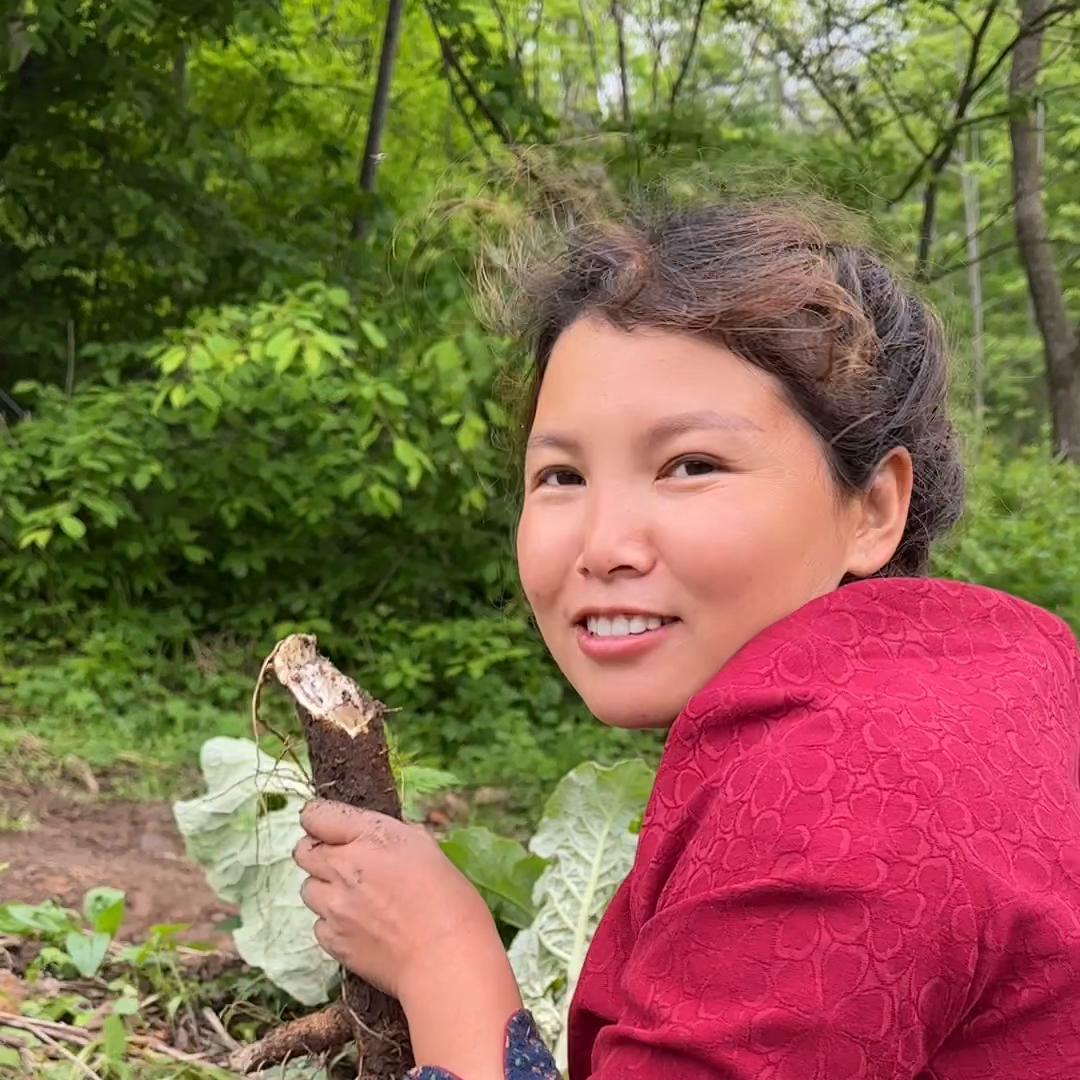 大山里不起眼的老母猪耳朵，也能做出这么好喝的苗条茶。#牛蒡