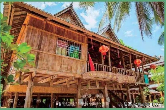 花博会云南,花博会来了