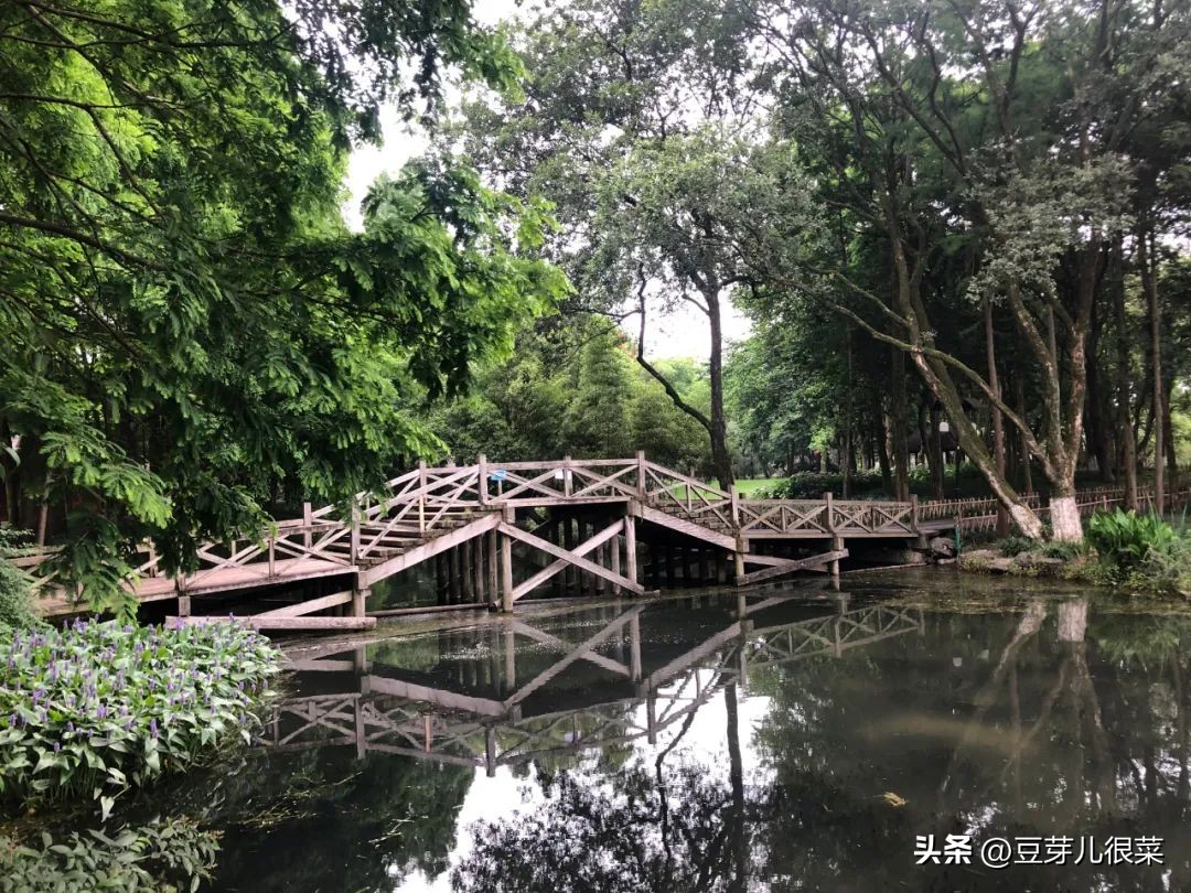 老婆老是查账是什么心态,老婆经常查账是什么心理