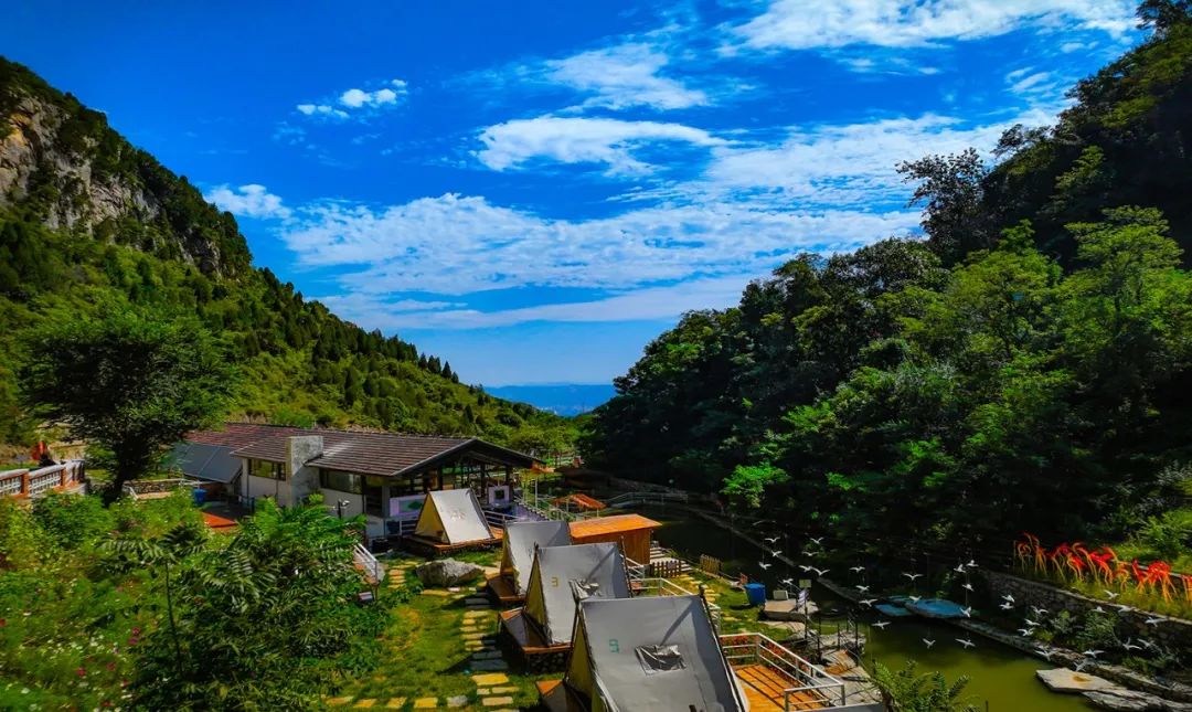 身份证号3703开头是哪里,身份证3703开头是哪里