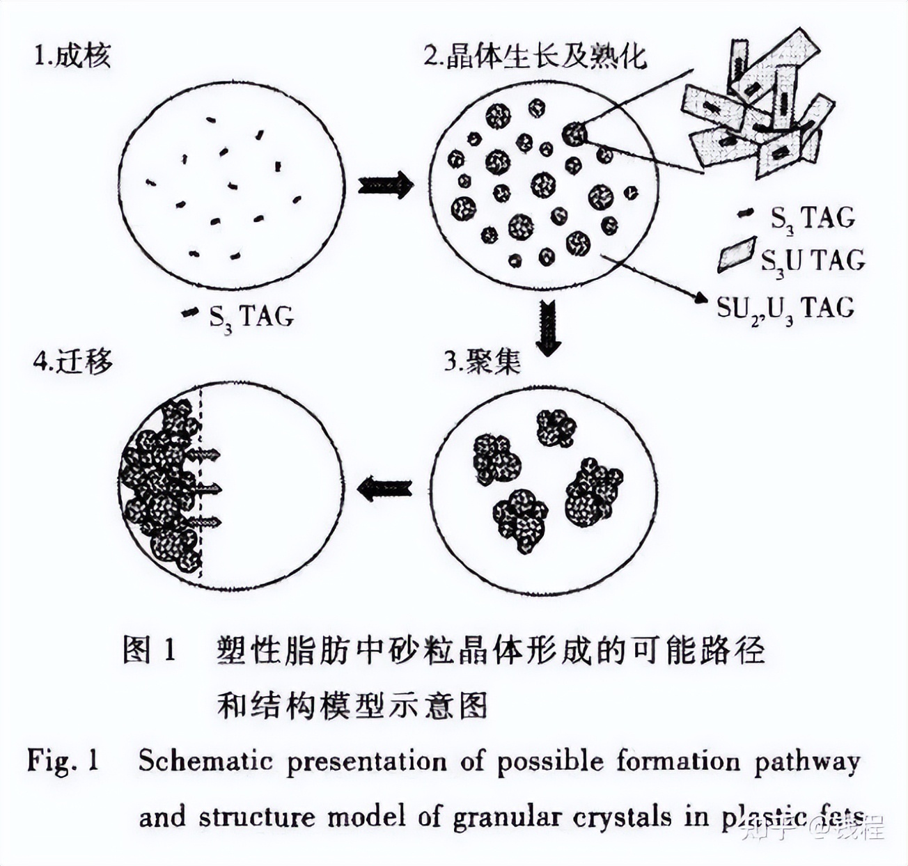 康师傅调料包出现虫卵,康师傅方便面油包白点像鱼卵