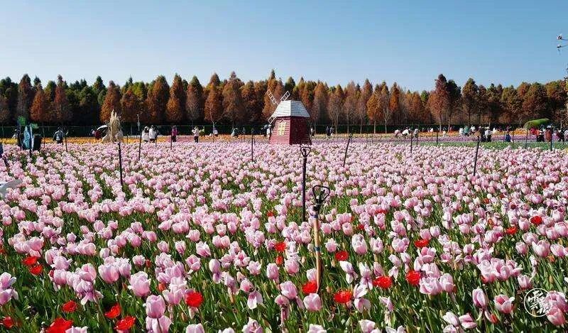 迈开脚步看风景别辜负昆明好风光,带你看云南昆明美景