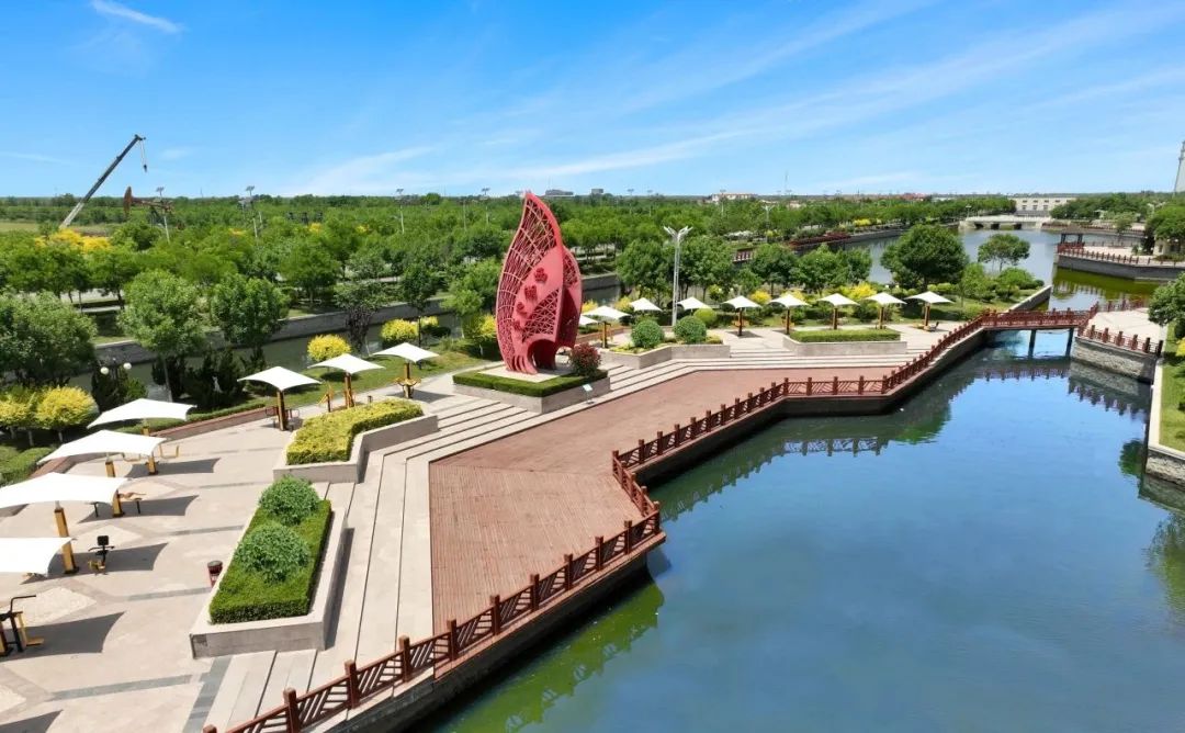 天大设计院设计者,天大设计总院院长