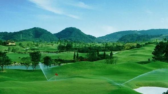 盘点高尔夫球,高尔夫球的八大罪状