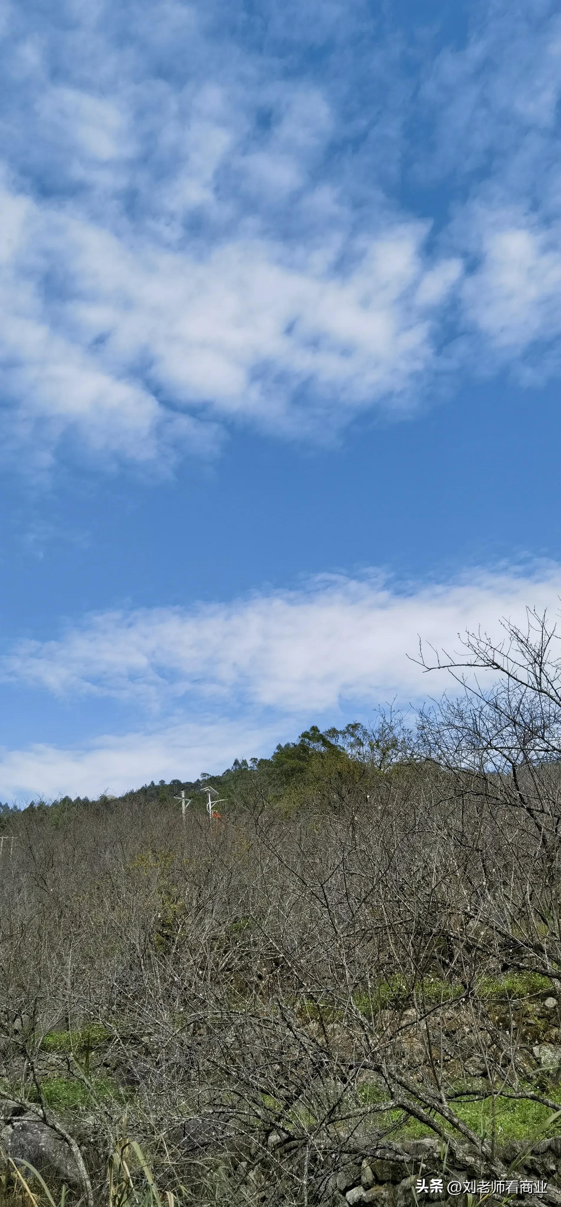 普宁老仙洞梅花盛开,普宁赏梅花最佳地点