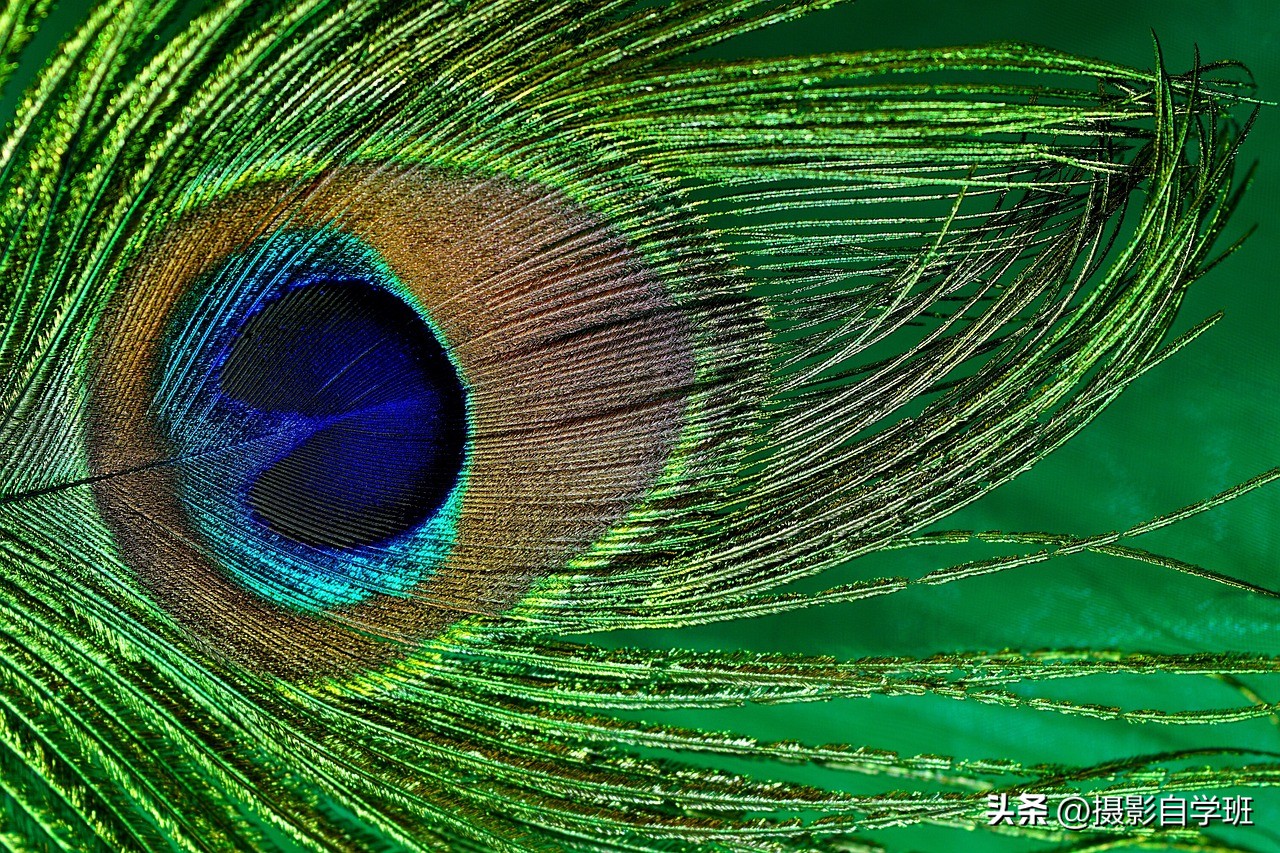 用手机拍微距如何设置参数,苹果手机怎么拍微距清晰