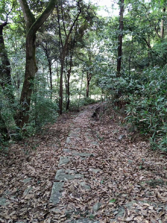 郴乐古道之水头江宜乐古道--广东省乐昌市庆云镇