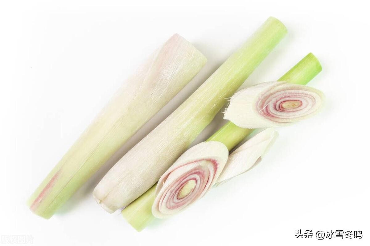 香茅不是所有人都喜欢吃,香茅有什么特有的味道
