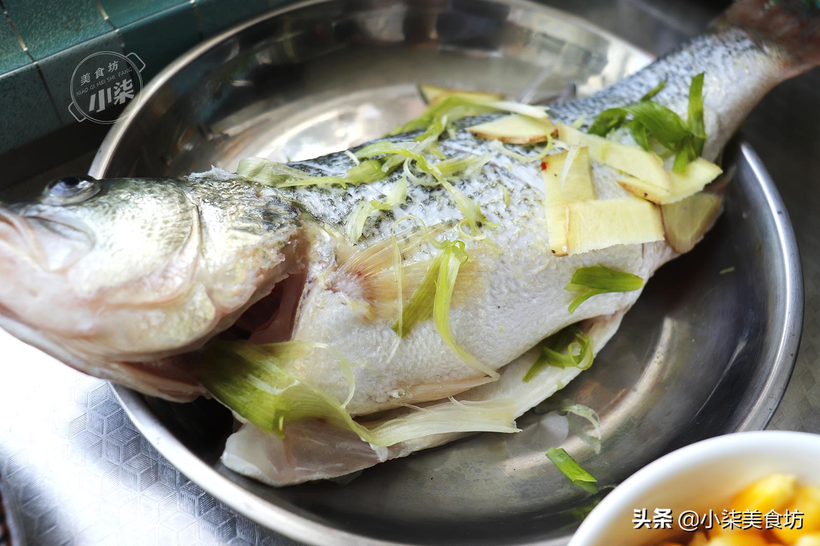 买鲈鱼挑大的还是小的,鲈鱼买的肚子特别肥的好吗