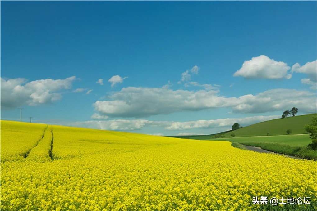 一户一田全国农村人都实行吗,一户一田是分地吗