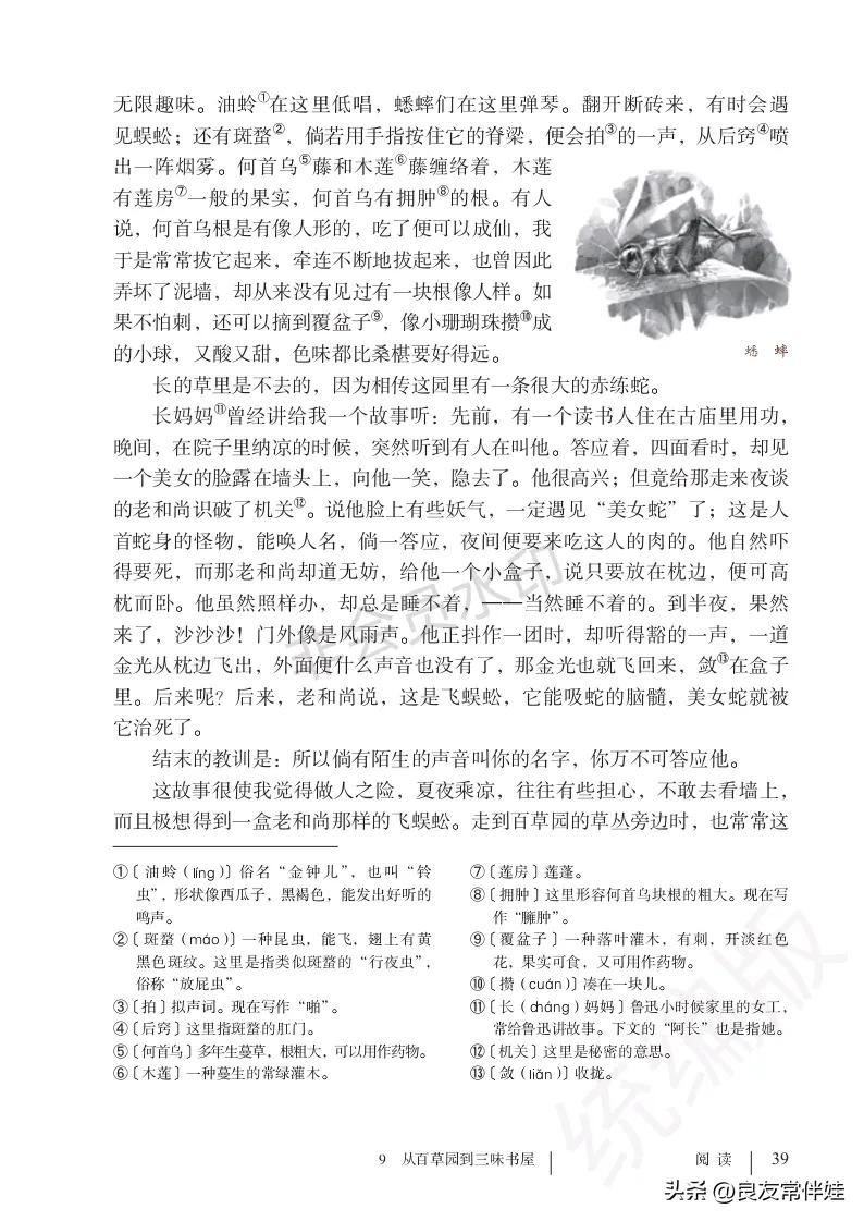 七年级语文课本电子完整版,七年级上册语文教材基础知识手册