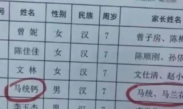 家长给孩子起的奇葩名字,盘点小学生的奇葩名字