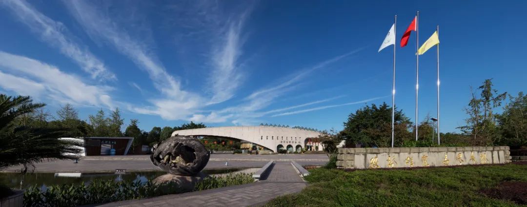 如果你要写自贡，就不要只写自贡