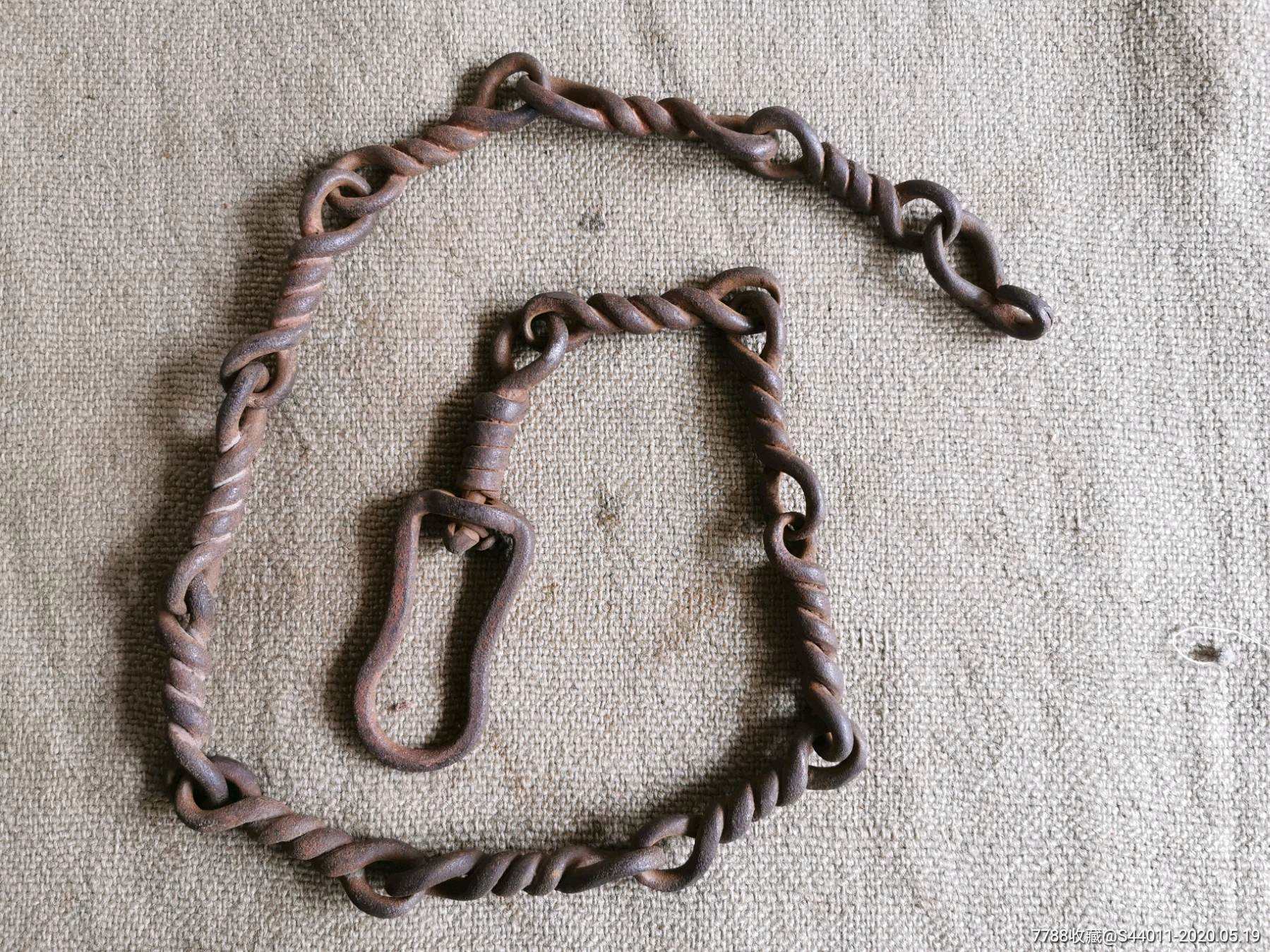 为什么大多数人都讨厌吉娃娃,为什么有的人讨厌吉娃娃