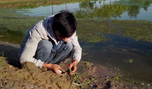 小伙养龙虾,小伙养十只大龙虾