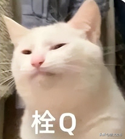 广东鱼丸哪个品牌抽检不正常,消保委质量问题