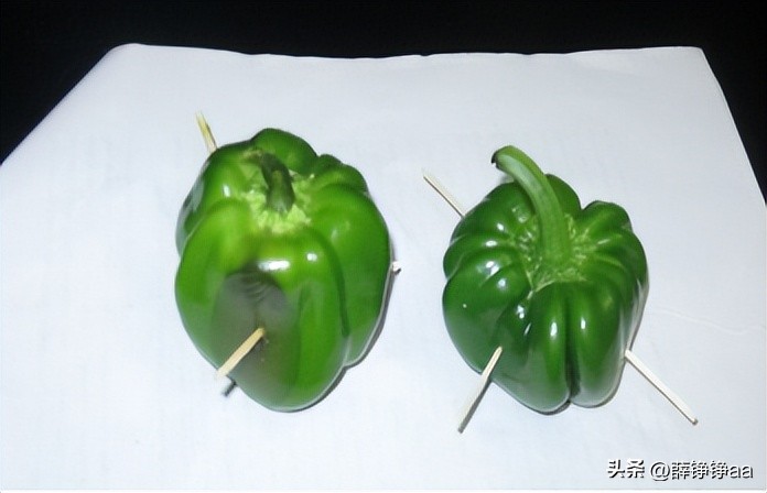 番茄青枯病害鉴别,分离番茄茎腐病真菌的方法