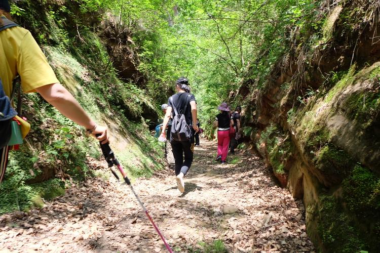 六月流火还是七月流火,六月流火诗句