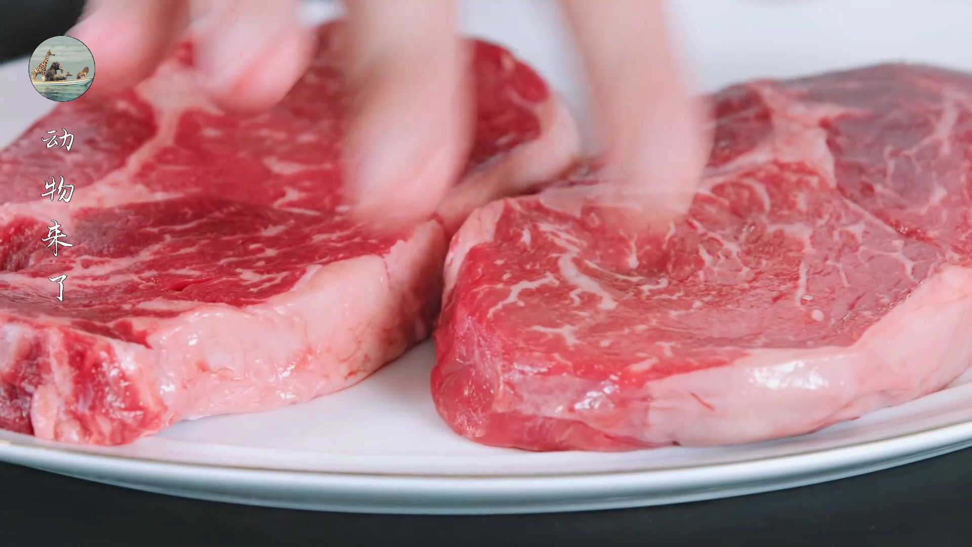 牛肉源头供应链怎样挣钱,养牛30年不赔钱的秘诀