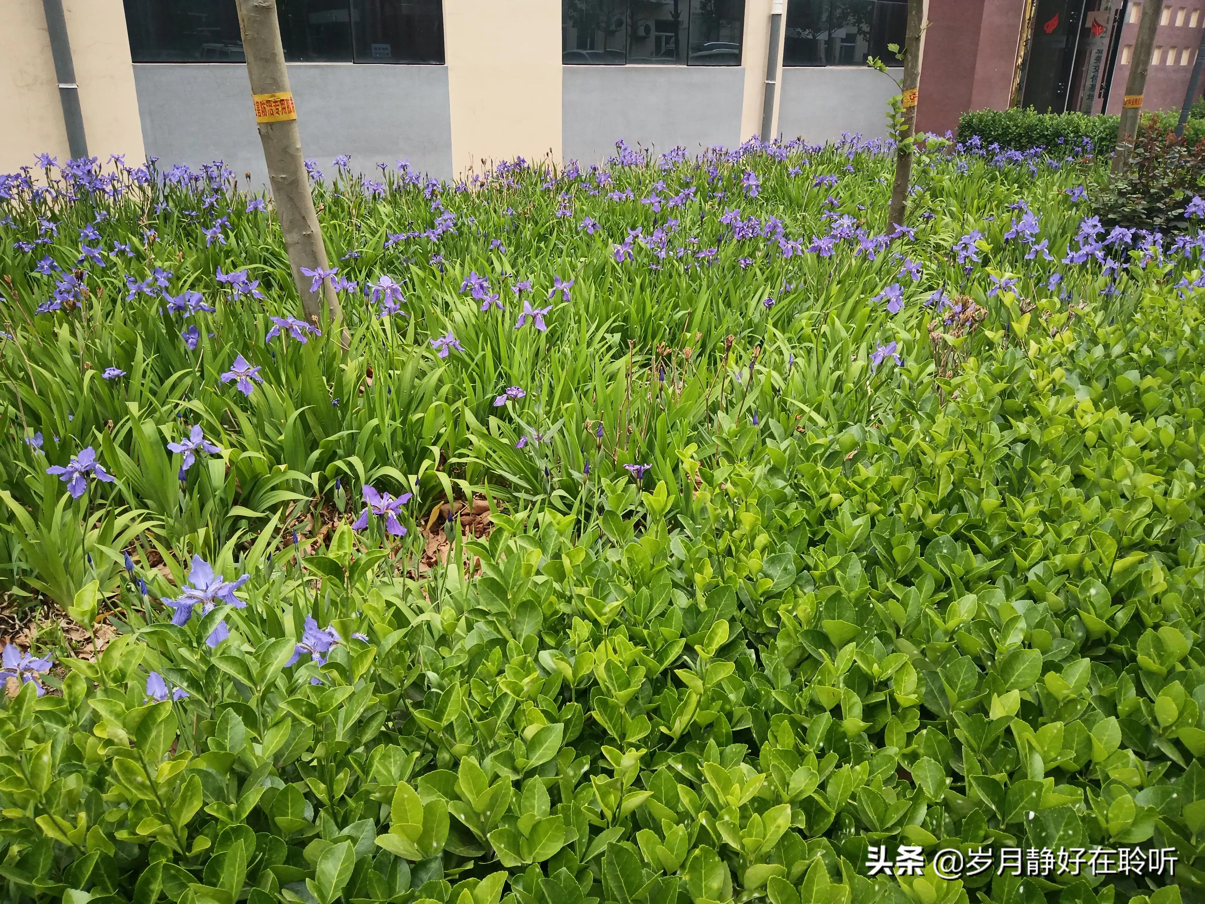 述职报告年度工作特点,述职报告年度经营指标完成情况