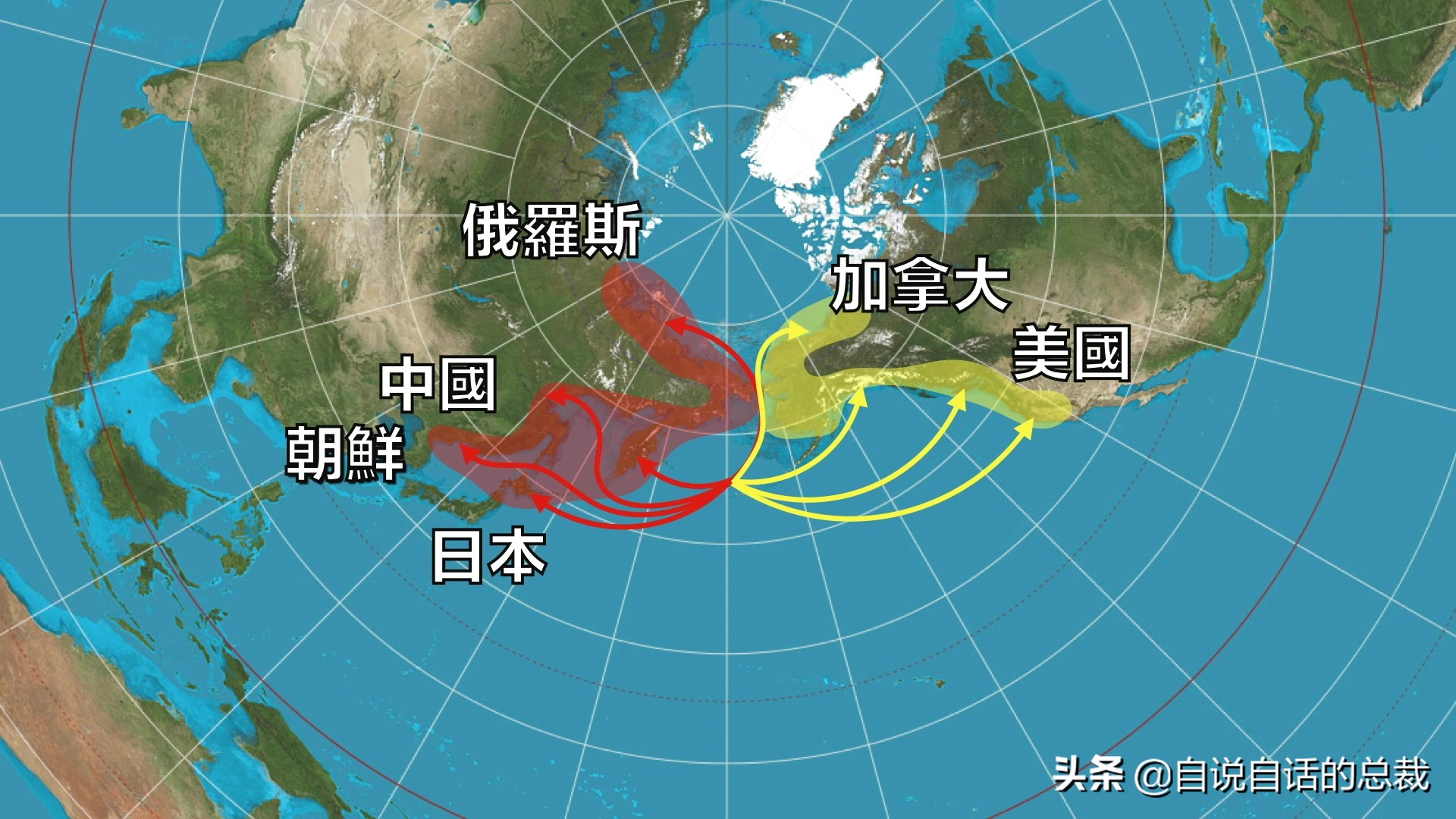 三文鱼水光真假分辨,哪种才是真正的三文鱼