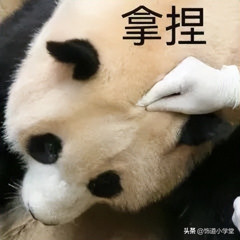 月薪5000以上的女生干的工作,月薪4200普通女孩