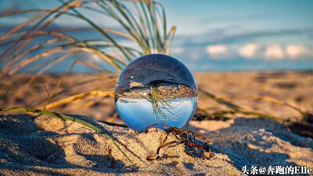 成熟的人懂得认命,真正成熟的人有三次低头