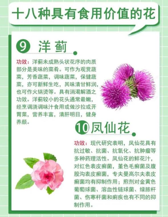 18种最漂亮的花草,18种必养的花