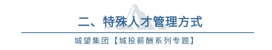 城投涨薪制度,城投薪酬改革