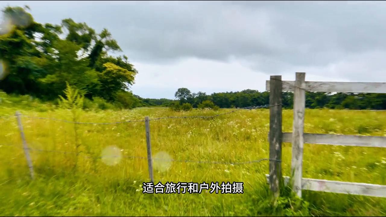 腾龙1770f2.8和适马1850哪个好,镜头腾龙18-200好还是18-135好