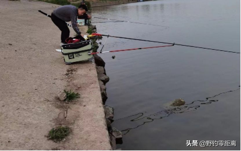 台钓如何钓到鳜鱼?不仅看缘分,还得碰运气