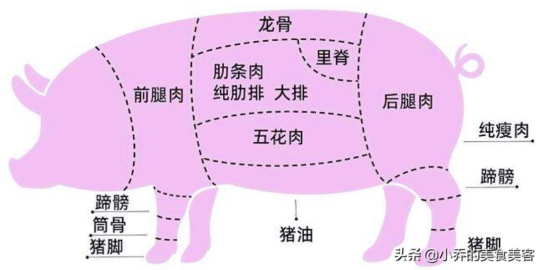 一张图看懂猪身上哪块肉最好,猪身上肉分类图