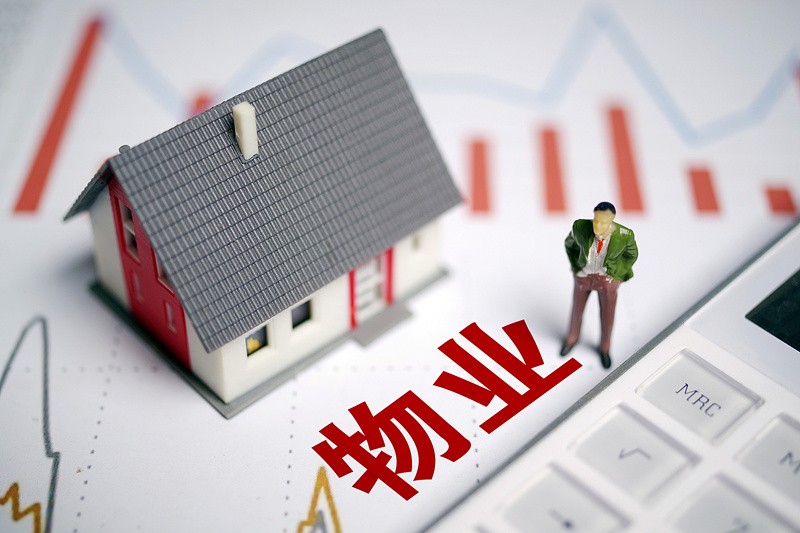 业主可以更换开发商前期物业吗,业主委员会有权更换物业公司吗