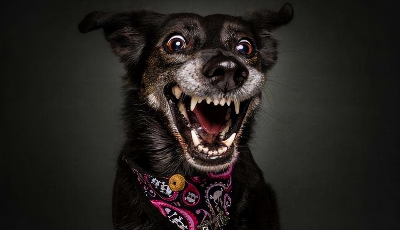 有声书录制au教程,有声小说如何设置au