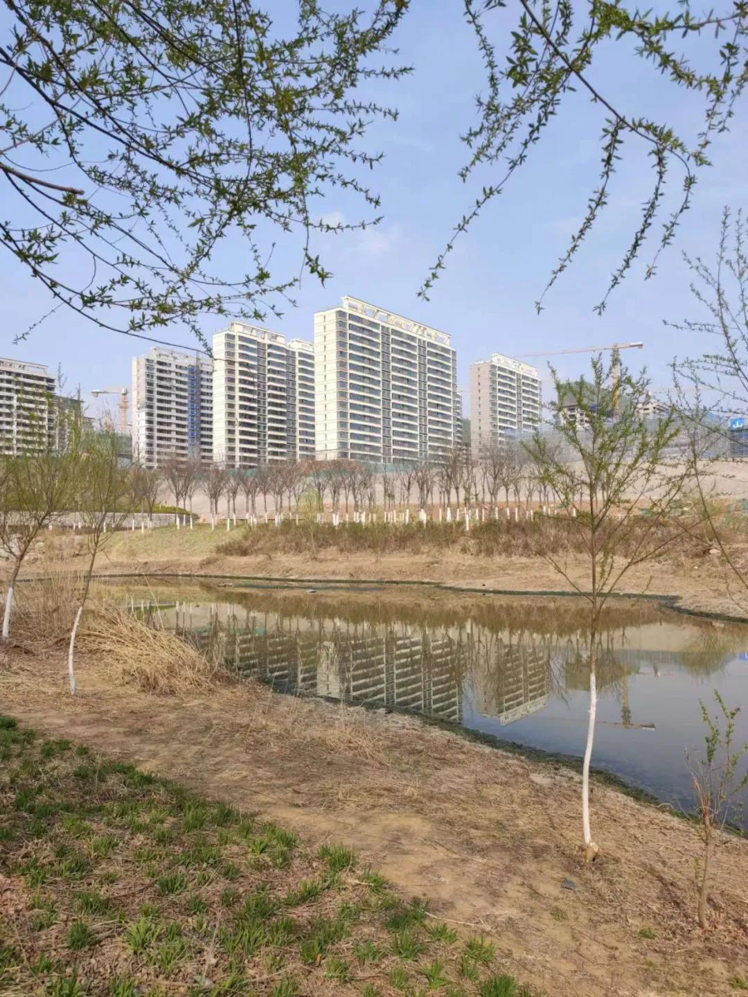 远洋潮起东方会烂尾吗,远洋潮起东方真实情况