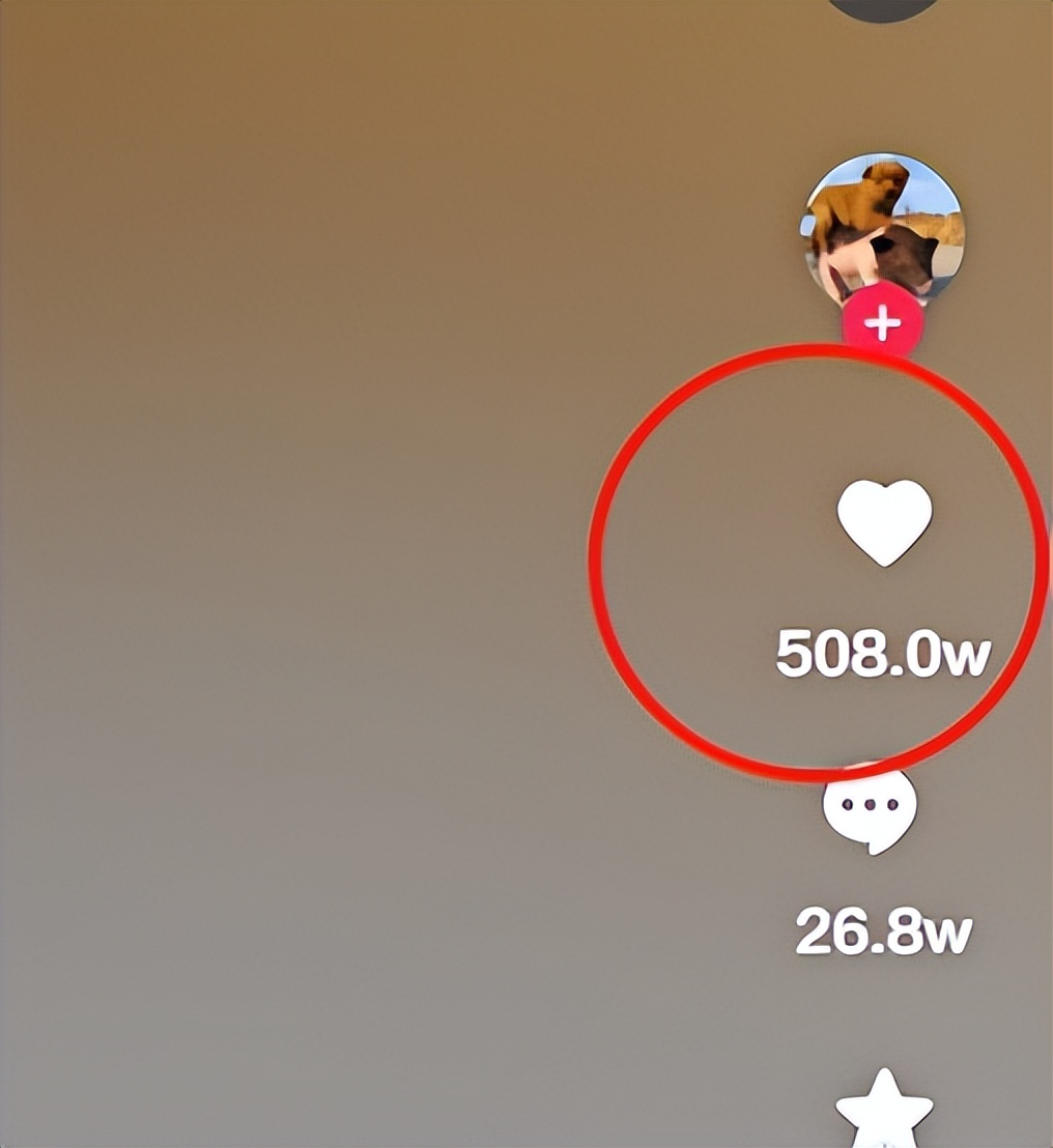 “狗界巅峰”：“把鸭当妈”骑鸭背上，全网最萌小狗吸粉550万