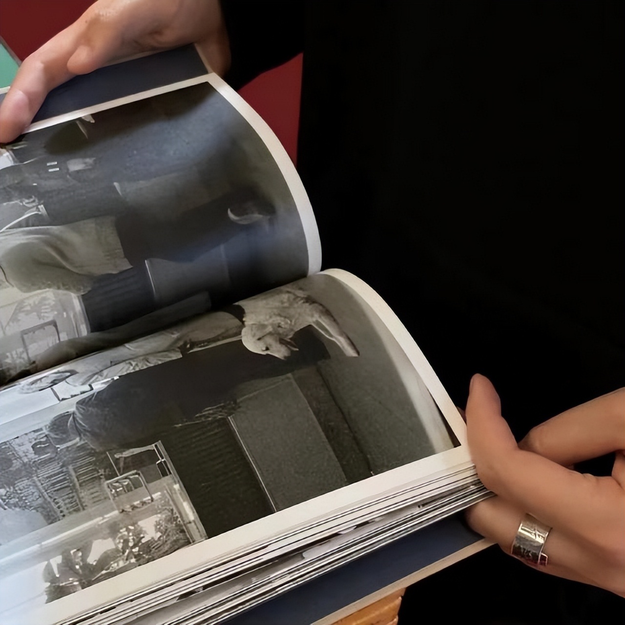 如何评价射手座女生太真实了,射手座女生怎么评价别人家的男友