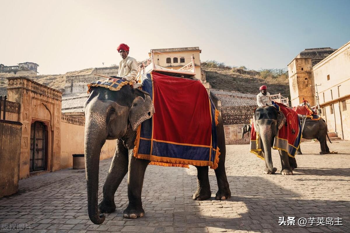 印度是个怎样的国家,印度是一个怎么样的国度