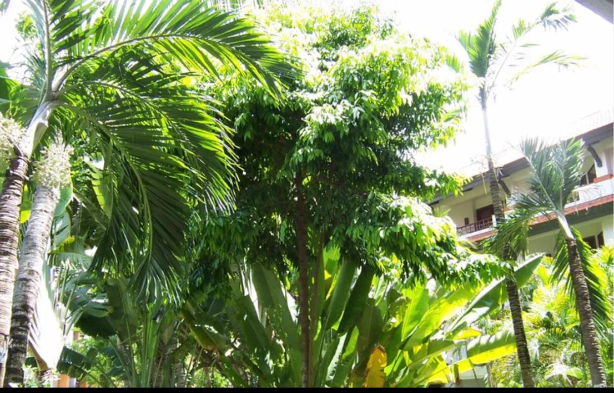 疫情期间提升免疫力的心态,疫情期间强身健体提高免疫力