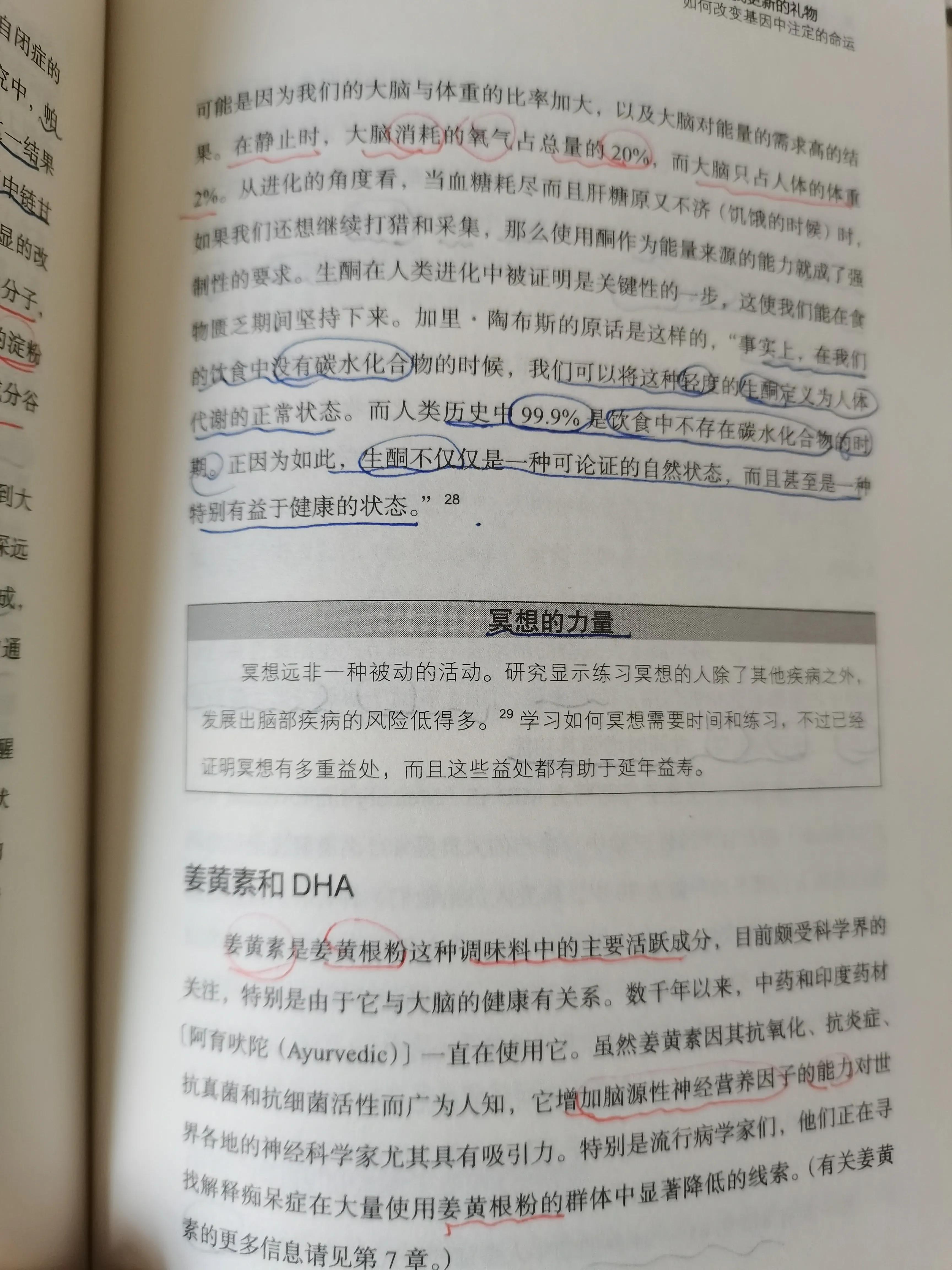 谷物大脑具备权威性吗,谷物大脑有人看过吗