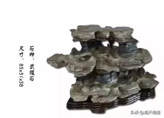 难得一见的仙鹤假奇石,这些难得一见的奇石美醉了