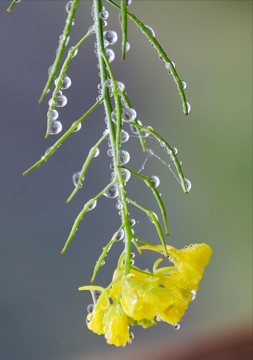 地球是人类生活的家,神奇的地球家