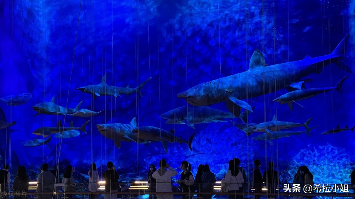 广州最值得去的景点旅游攻略,旅游攻略广州必去的六大景点