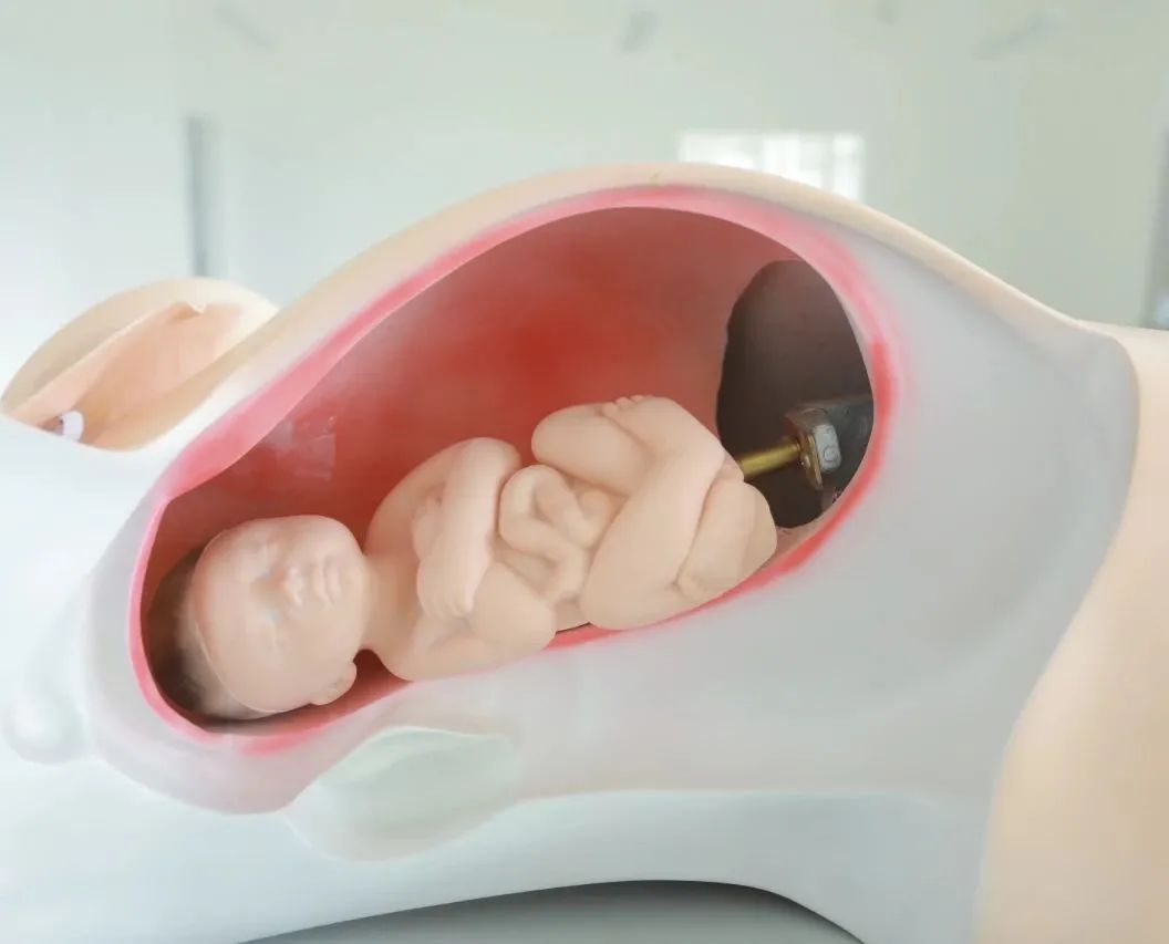 介绍护理学院,护理学院的学院简介