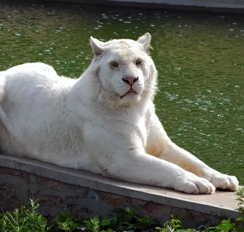 武汉特种兵式旅游攻略,南京特种兵式旅游攻略