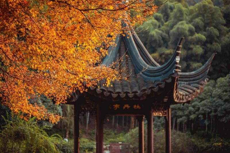 昆山在建大型工地,昆山新地标建筑进度